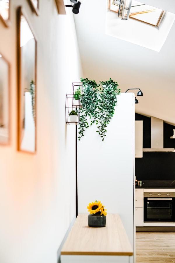 Apartament Mansarda Belli Rawenna Zewnętrze zdjęcie